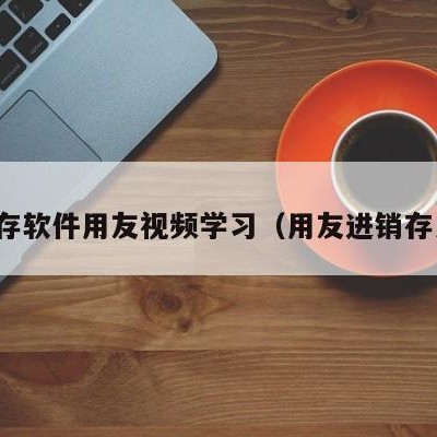 进销存软件用友视频学习（用友进销存系统）