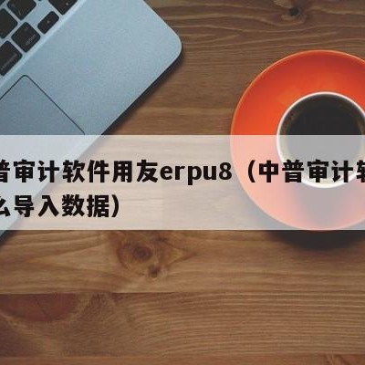 中普审计软件用友erpu8（中普审计软件怎么导入数据）