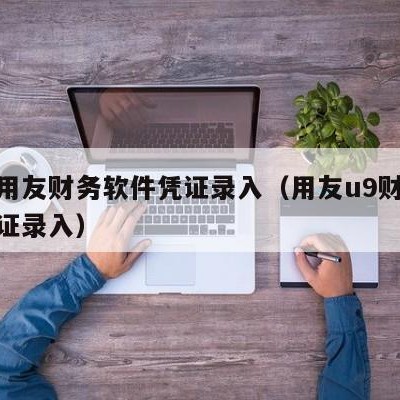 湖南用友财务软件凭证录入（用友u9财务软件凭证录入）