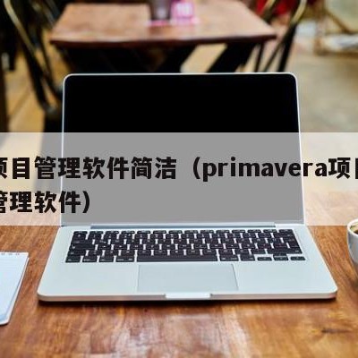 项目管理软件简洁（primavera项目管理软件）