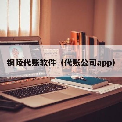 铜陵代账软件（代账公司app）