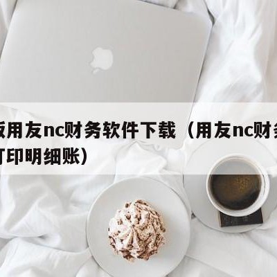 正版用友nc财务软件下载（用友nc财务软件打印明细账）