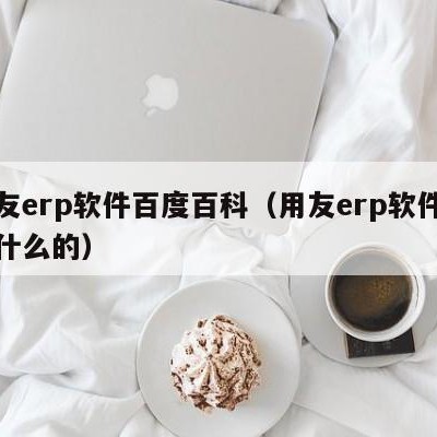 用友erp软件百度百科（用友erp软件是做什么的）