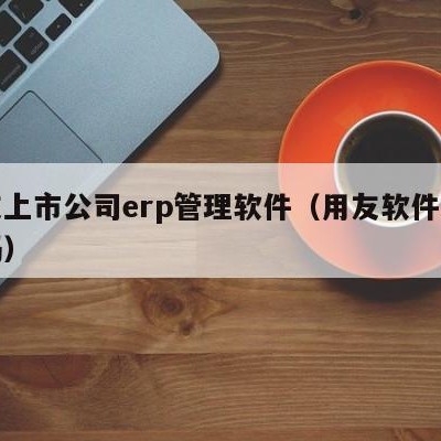 用友上市公司erp管理软件（用友软件上市代码）