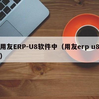 用友ERP-U8软件中（用友erp u8）