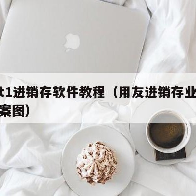 用友t1进销存软件教程（用友进销存业务流程方案图）