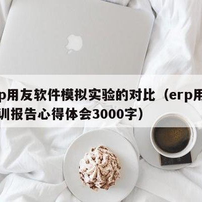 erp用友软件模拟实验的对比（erp用友实训报告心得体会3000字）