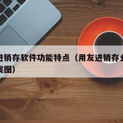 用友进销存软件功能特点（用友进销存业务流程方案图）