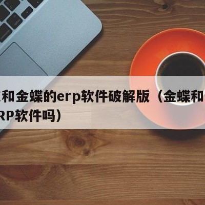 用友和金蝶的erp软件破解版（金蝶和用友是ERP软件吗）