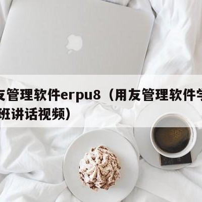 用友管理软件erpu8（用友管理软件学院 开班讲话视频）