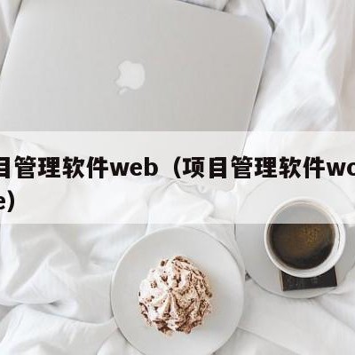 项目管理软件web（项目管理软件worktile）