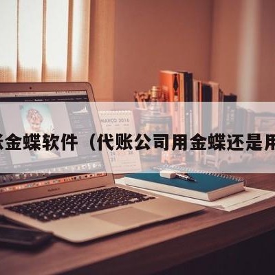 代账金蝶软件（代账公司用金蝶还是用友）