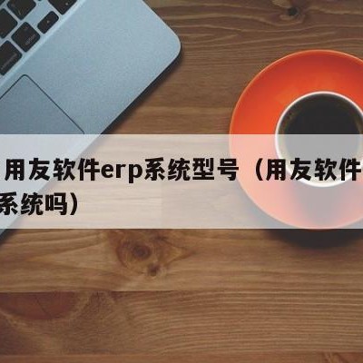 兰山用友软件erp系统型号（用友软件属于erp系统吗）