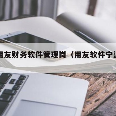 宁波用友财务软件管理岗（用友软件宁波分公司）