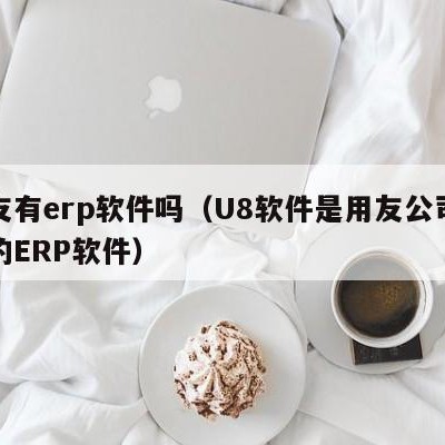 用友有erp软件吗（U8软件是用友公司开放的ERP软件）