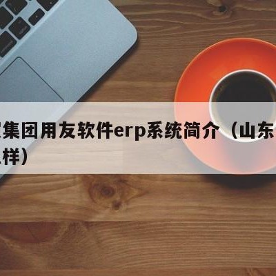 日照集团用友软件erp系统简介（山东用友怎么样）