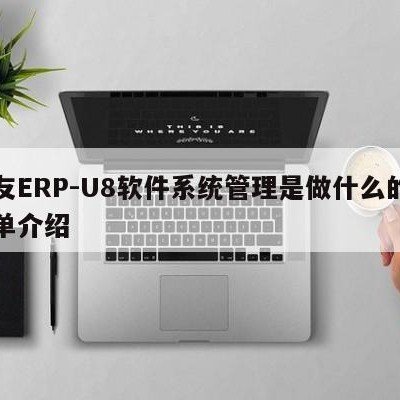 用友ERP-U8软件系统管理是做什么的的简单介绍