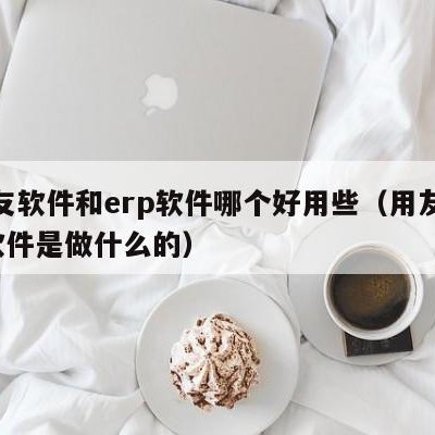 用友软件和erp软件哪个好用些（用友erp软件是做什么的）