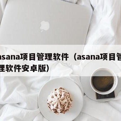 asana项目管理软件（asana项目管理软件安卓版）