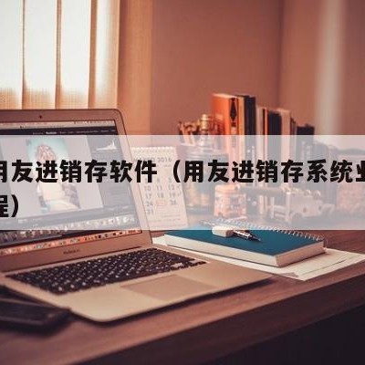 邯郸用友进销存软件（用友进销存系统业务处理流程）