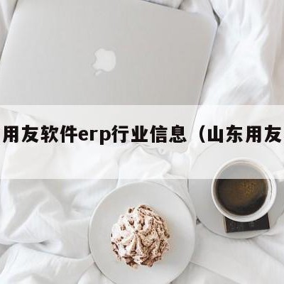 德州用友软件erp行业信息（山东用友怎么样）