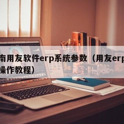 莒南用友软件erp系统参数（用友erp系统操作教程）