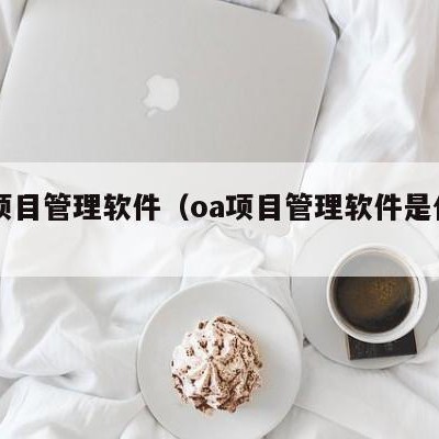 oa项目管理软件（oa项目管理软件是什么）