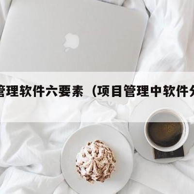 项目管理软件六要素（项目管理中软件分为哪几类）