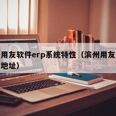 滨州用友软件erp系统特性（滨州用友软件公司地址）