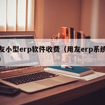 用友小型erp软件收费（用友erp系统软件）