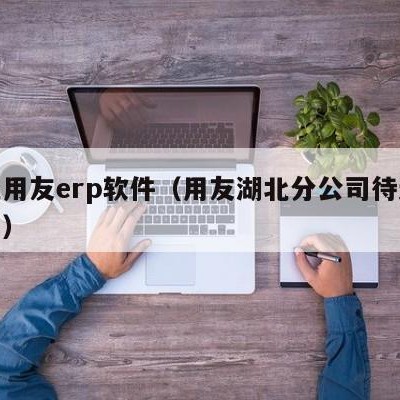 湖北用友erp软件（用友湖北分公司待遇怎么样）