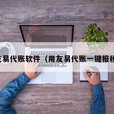 友易代账软件（用友易代账一键报税）