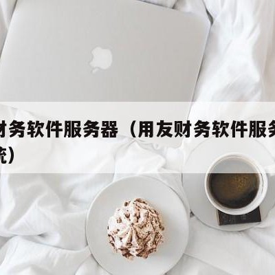 用友财务软件服务器（用友财务软件服务器操作系统）