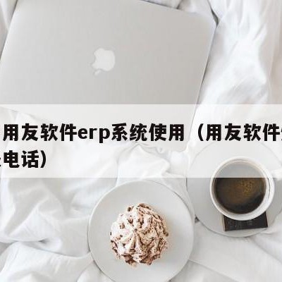 烟台用友软件erp系统使用（用友软件烟台客服电话）