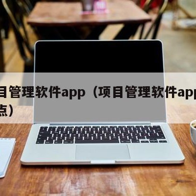 项目管理软件app（项目管理软件app的优点）