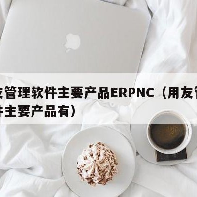 用友管理软件主要产品ERPNC（用友管理软件主要产品有）