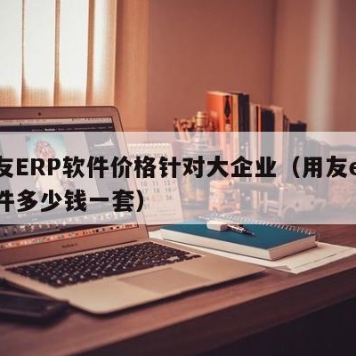 用友ERP软件价格针对大企业（用友erp软件多少钱一套）