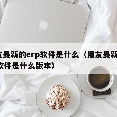 用友最新的erp软件是什么（用友最新的erp软件是什么版本）