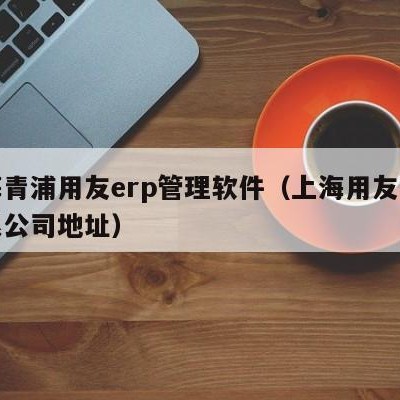 上海青浦用友erp管理软件（上海用友软件有限公司地址）