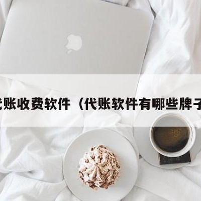 代账收费软件（代账软件有哪些牌子）