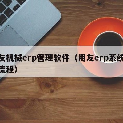 用友机械erp管理软件（用友erp系统操作流程）