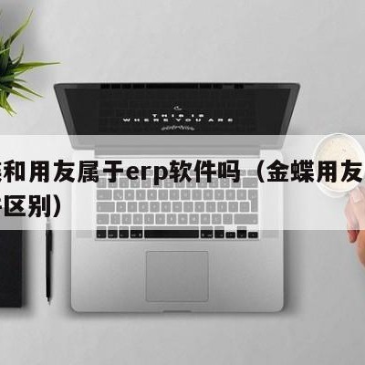 金碟和用友属于erp软件吗（金蝶用友财务软件区别）