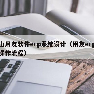 苍山用友软件erp系统设计（用友erp系统操作流程）