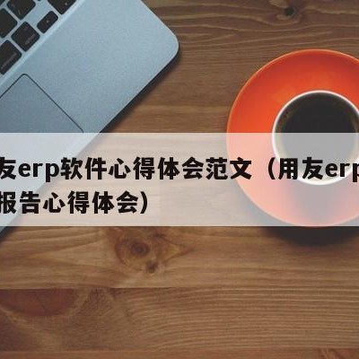 用友erp软件心得体会范文（用友erp实验报告心得体会）