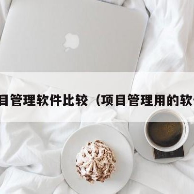 项目管理软件比较（项目管理用的软件）