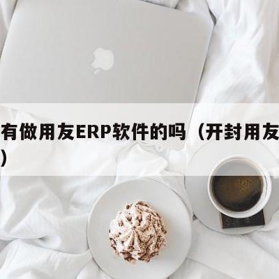 开封有做用友ERP软件的吗（开封用友软件公司）