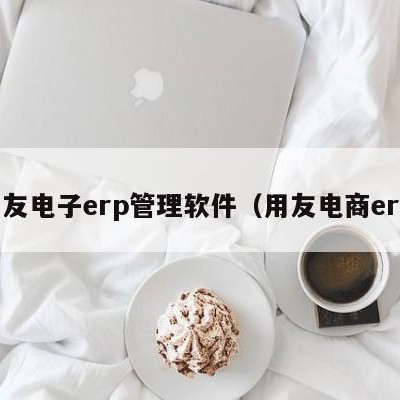 用友电子erp管理软件（用友电商erp）