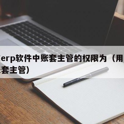 用友erp软件中账套主管的权限为（用友设置账套主管）