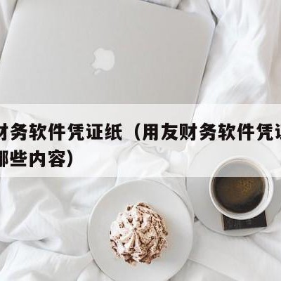 用友财务软件凭证纸（用友财务软件凭证填制包括哪些内容）