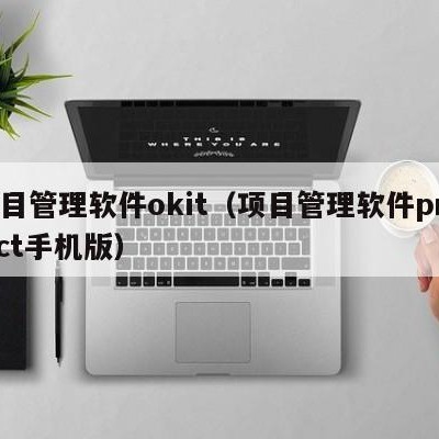 项目管理软件okit（项目管理软件project手机版）